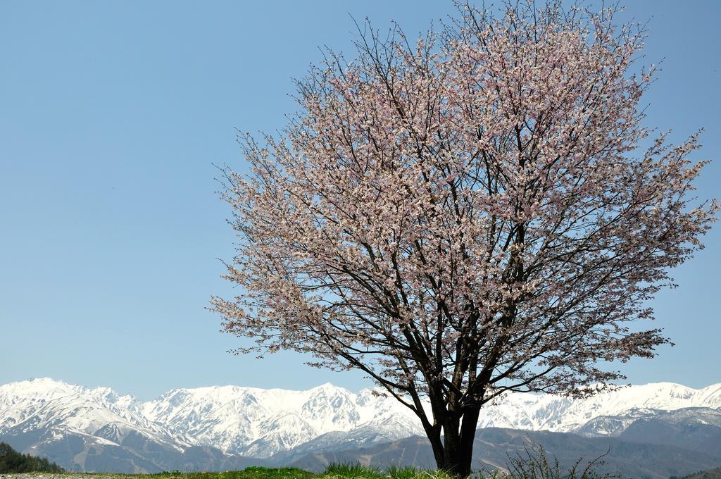 Lodge Nostalgia Hakuba Exteriör bild